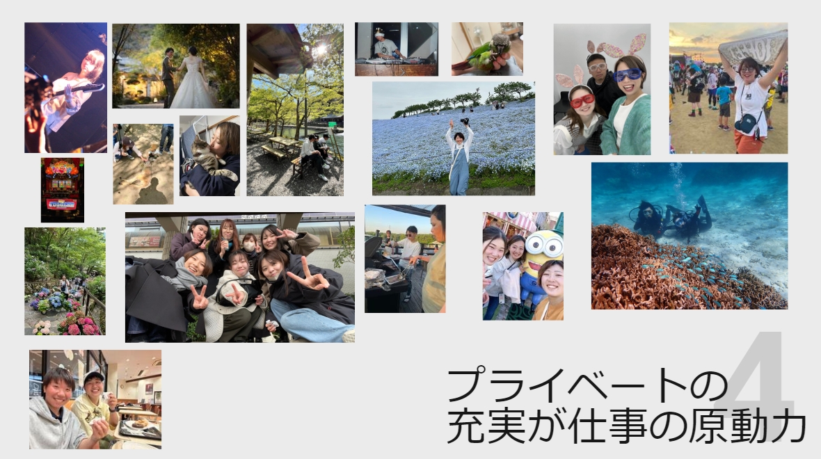 阪神南ブースNo.08 株式会社ロジケア画像2